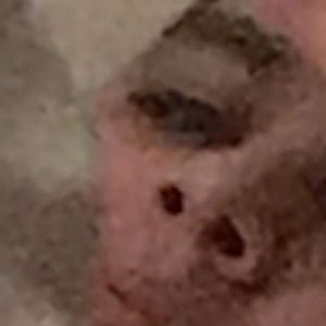 Meet your Posher, Lane